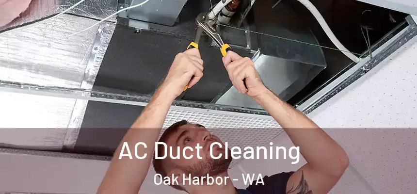  AC Duct Cleaning Oak Harbor - WA