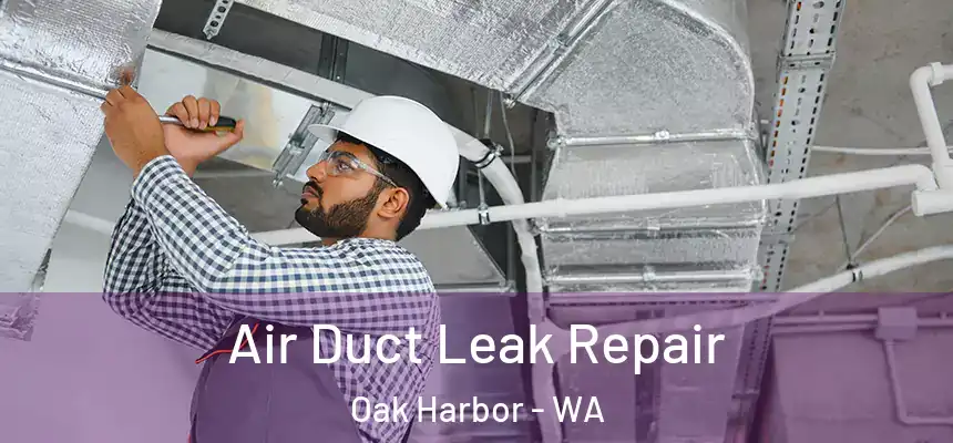  Air Duct Leak Repair Oak Harbor - WA