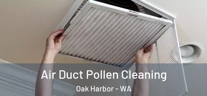  Air Duct Pollen Cleaning Oak Harbor - WA