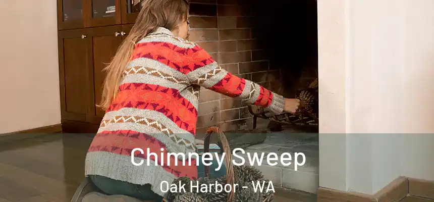 Chimney Sweep Oak Harbor - WA