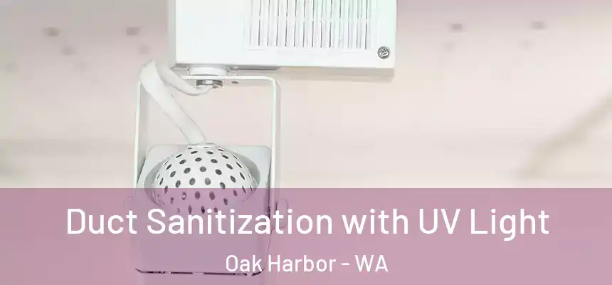  Duct Sanitization with UV Light Oak Harbor - WA