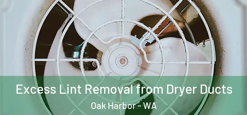  Excess Lint Removal from Dryer Ducts Oak Harbor - WA