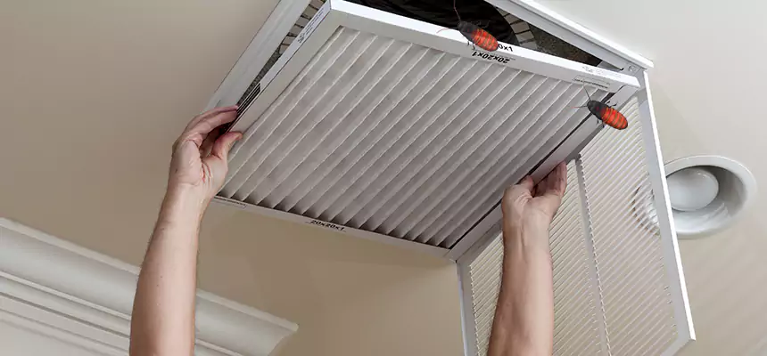 Preventive Cockroach-Proofing for Ducts in Oak Harbor