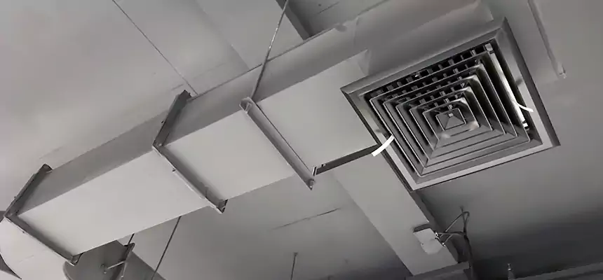 Restorative Allergy Relief Vent Cleaning – Coil, Blower & Housing Detail in Oak Harbor