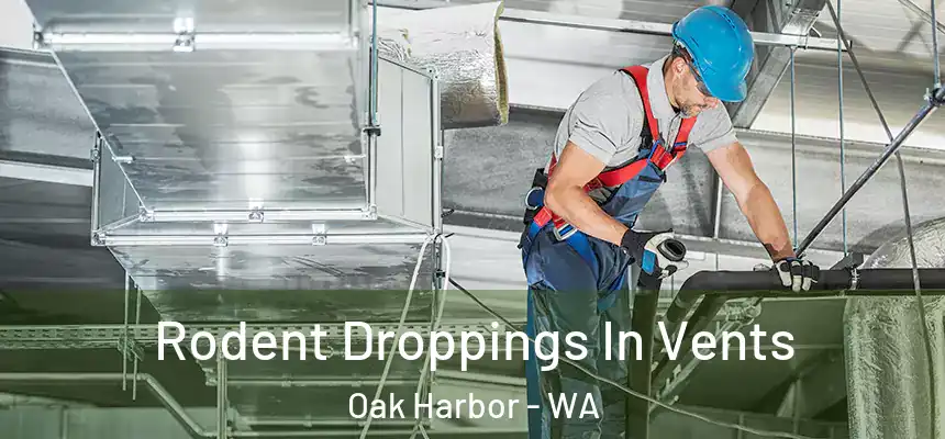  Rodent Droppings In Vents Oak Harbor - WA