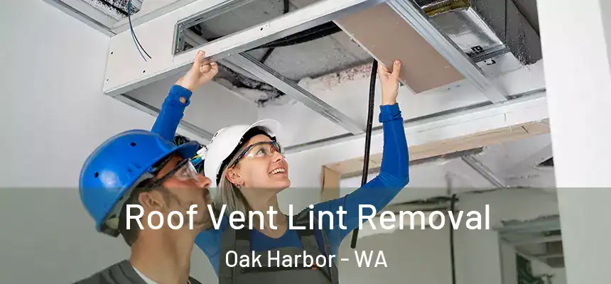  Roof Vent Lint Removal Oak Harbor - WA