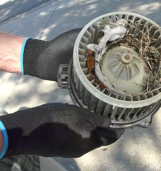 About Air Duct Mice Removal in Oak Harbor, WA