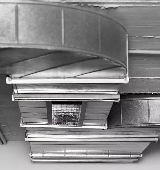 Professional Air Duct Pet Hair Removal in Oak Harbor, WA