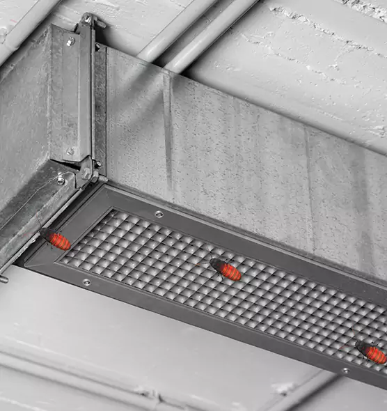 Affordable Insect Removal from Air Ducts in Oak Harbor, WA