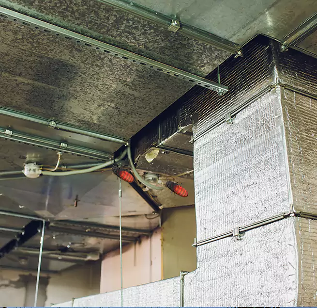 Why Homeowners & Businesses Trust Us in Oak Harbor, WA?