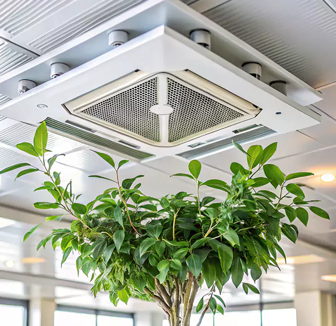 Why Homeowners & Businesses Trust Us in Oak Harbor, WA