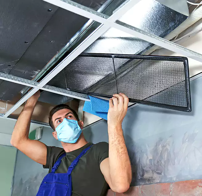 Why Homeowners Businesses Trust Us in Oak Harbor, WA